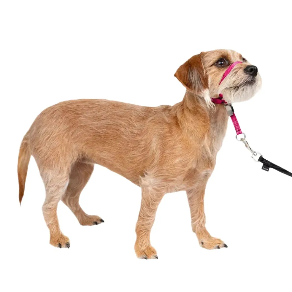 PetSafe Gentle Leader Headcollar for Dogs, Raspberry
