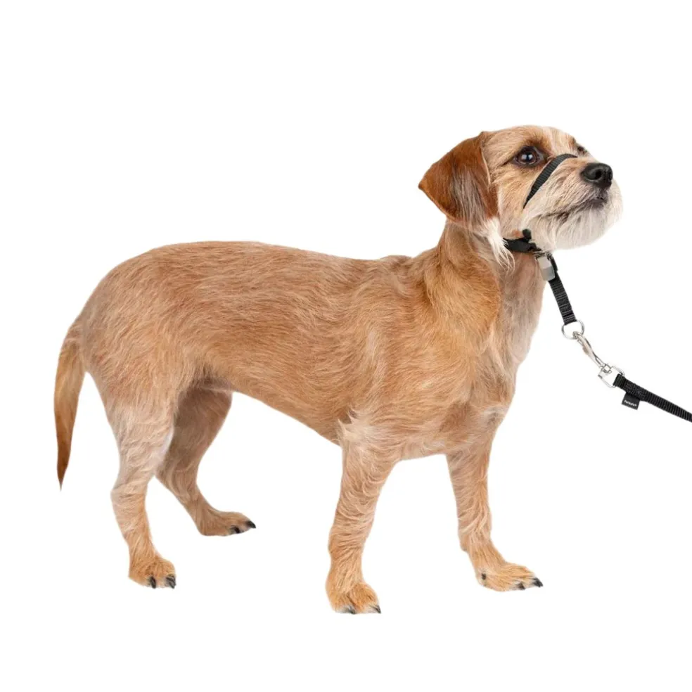 PetSafe Gentle Leader Headcollar for Dogs, Black