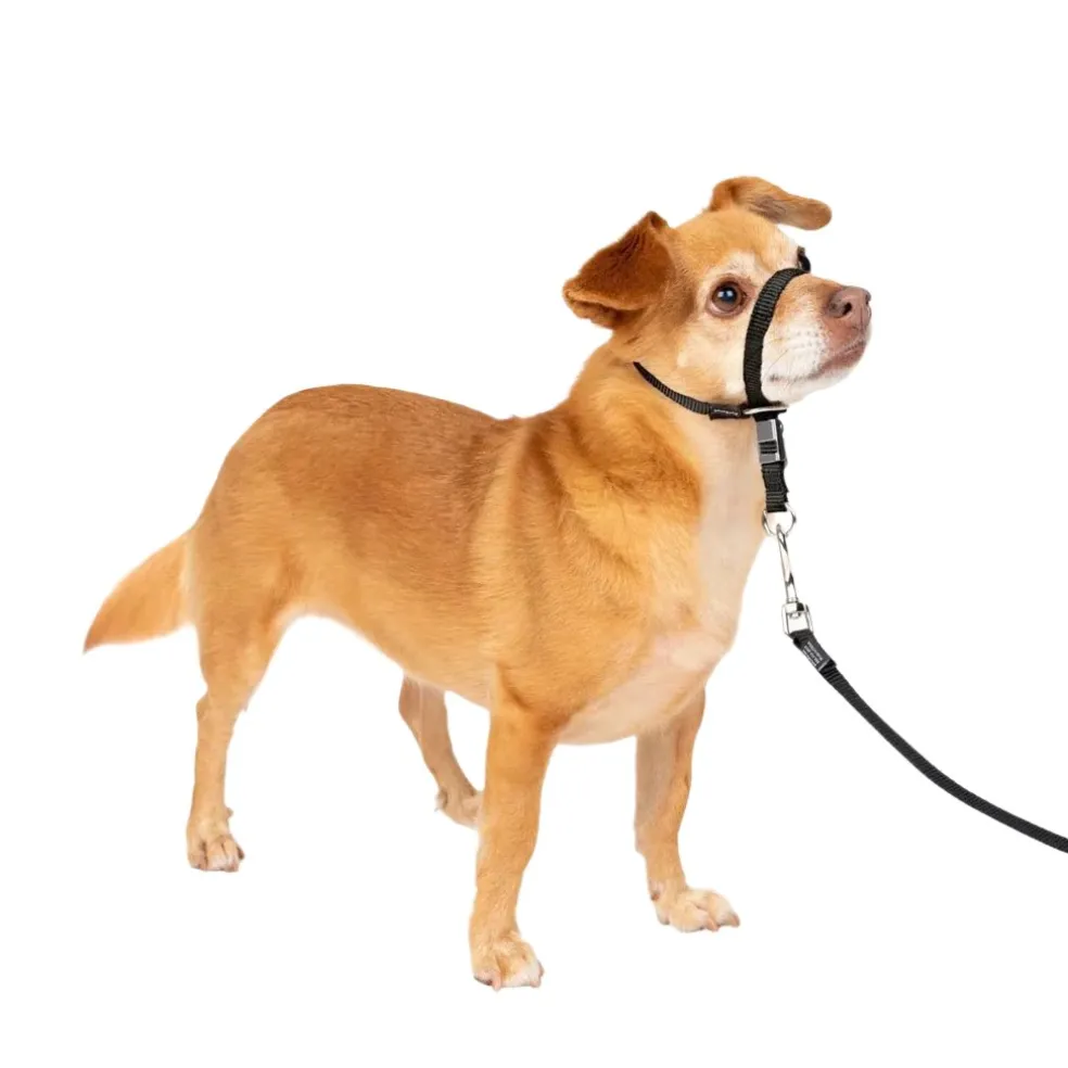 PetSafe Gentle Leader Headcollar for Dogs, Black