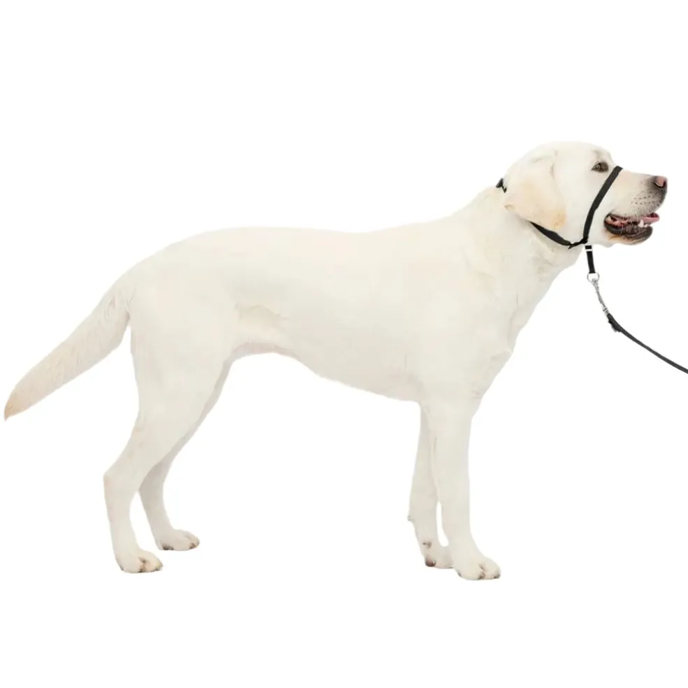 PetSafe Gentle Leader Headcollar for Dogs, Black