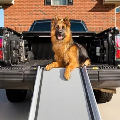 PetSafe Happy Ride Telescoping Dog Car Ramp, Grey, X-Large