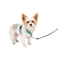 PetSafe 3-in-1 Dog Harness with Car Control Strap, Teal