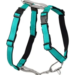 PetSafe 3-in-1 Dog Harness with Car Control Strap, Teal
