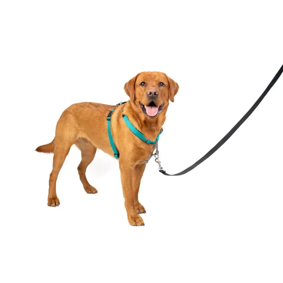 PetSafe 3-in-1 Dog Harness with Car Control Strap, Teal