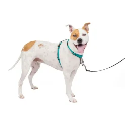 PetSafe 3-in-1 Dog Harness with Car Control Strap, Teal