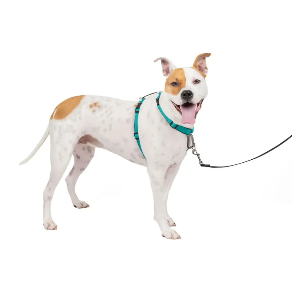 PetSafe 3-in-1 Dog Harness with Car Control Strap, Teal