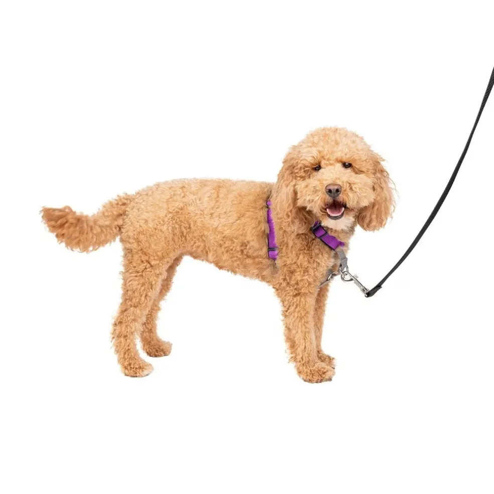 PetSafe 3-in-1 Dog Harness with Car Control Strap, Plum
