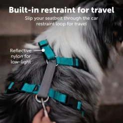 PetSafe 3-in-1 Dog Harness with Car Control Strap, Plum