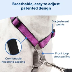 PetSafe 3-in-1 Dog Harness with Car Control Strap, Plum