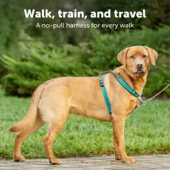 PetSafe 3-in-1 Dog Harness with Car Control Strap, Plum