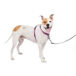 PetSafe 3-in-1 Dog Harness with Car Control Strap, Plum