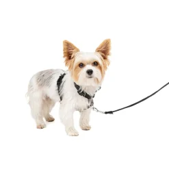 PetSafe 3-in-1 Dog Harness with Car Control Strap, Black