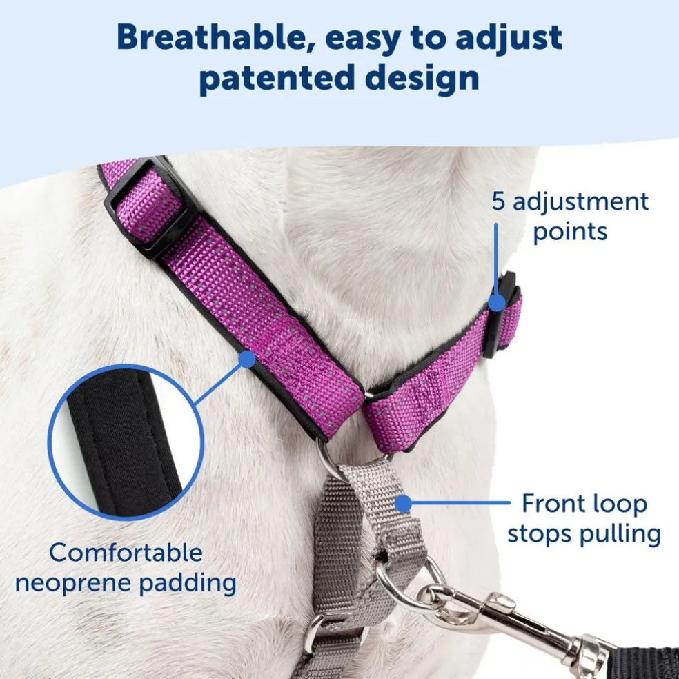 PetSafe 3-in-1 Dog Harness with Car Control Strap, Black