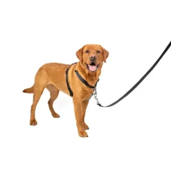 PetSafe 3-in-1 Dog Harness with Car Control Strap, Black