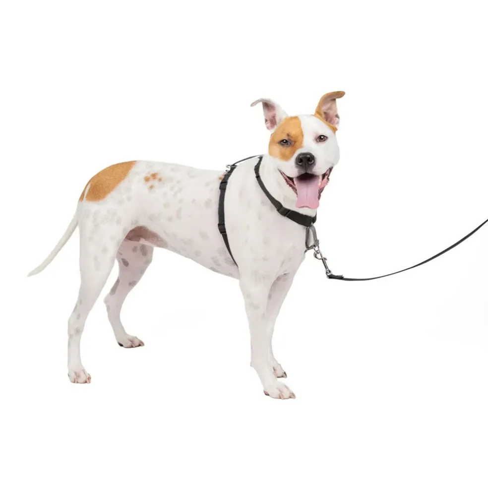 PetSafe 3-in-1 Dog Harness with Car Control Strap, Black