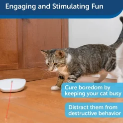 PetSafe Laser Tail Laser Cat Toy