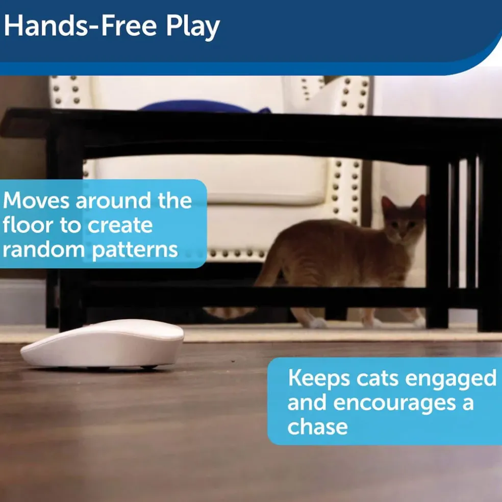 PetSafe Laser Tail Laser Cat Toy