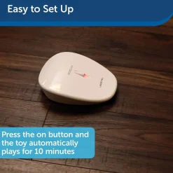PetSafe Laser Tail Laser Cat Toy