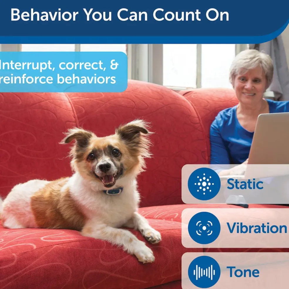 PetSafe Lite Remote Trainer Dog Collar