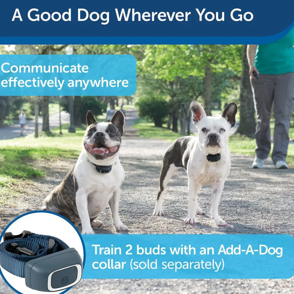 PetSafe Lite Remote Trainer Dog Collar
