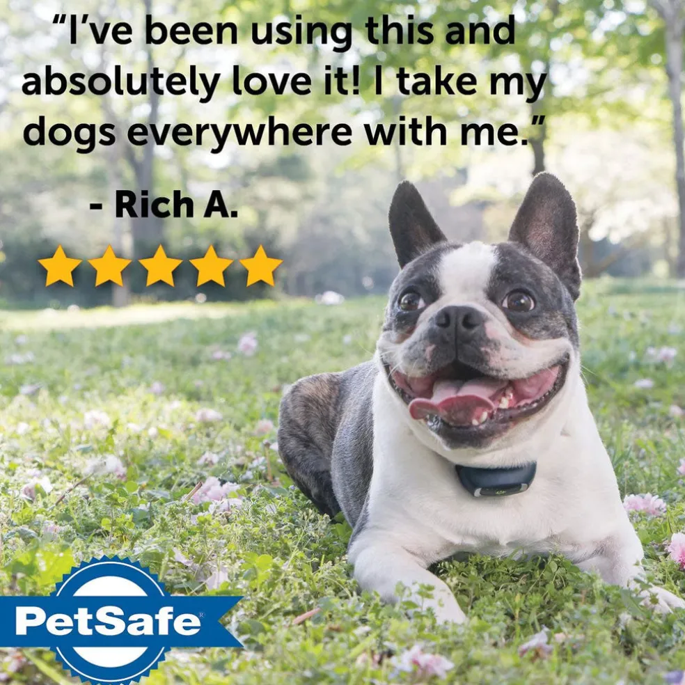 PetSafe Lite Remote Trainer Dog Collar