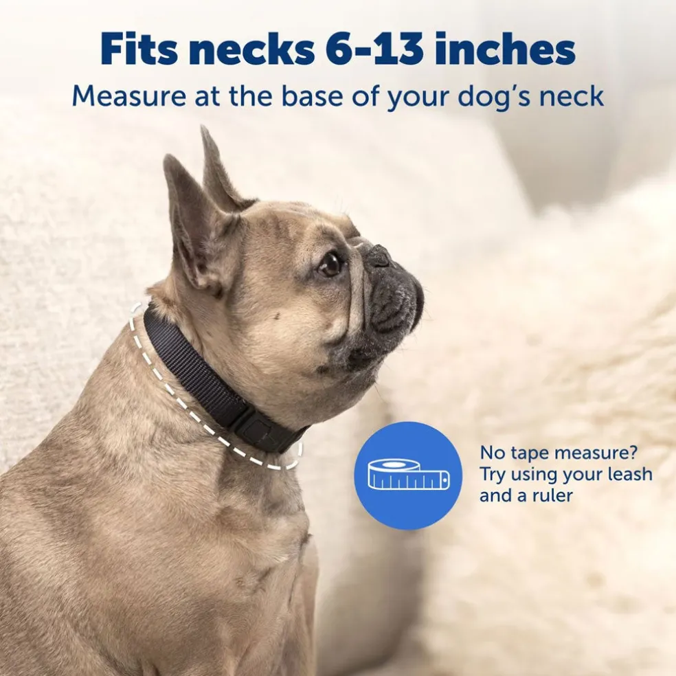 Petsafe NanoBark Collar by PetSafe Rechargeable Dog Bark Collar for Small Dogs
