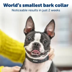 Petsafe NanoBark Collar by PetSafe Rechargeable Dog Bark Collar for Small Dogs
