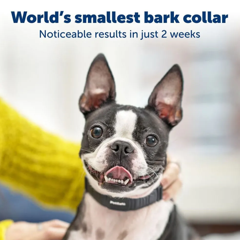 Petsafe NanoBark Collar by PetSafe Rechargeable Dog Bark Collar for Small Dogs
