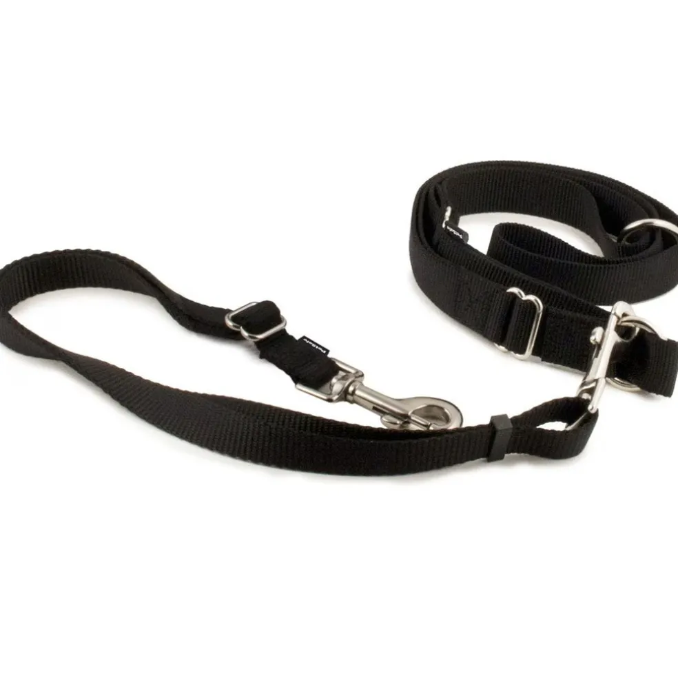 PetSafe Nylon Hands-Free Running Dog Leash, Black