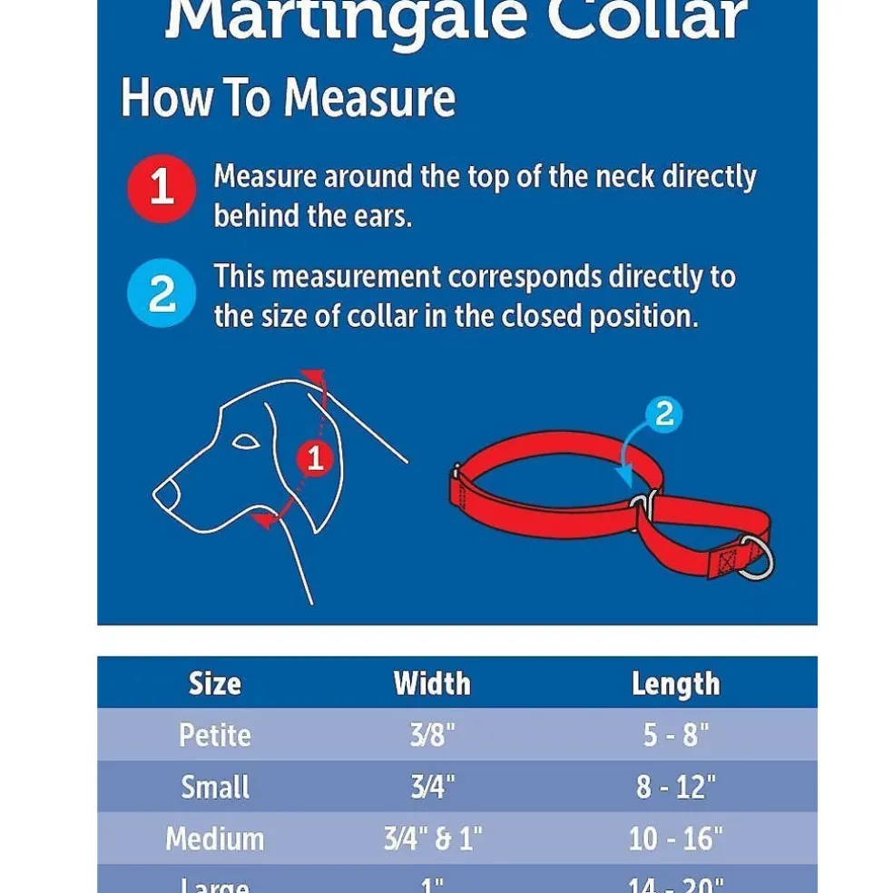 PetSafe Nylon Martingale Dog Collar, Large