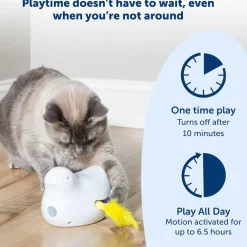 PetSafe Peek-A-Bird Automatic Cat Toy