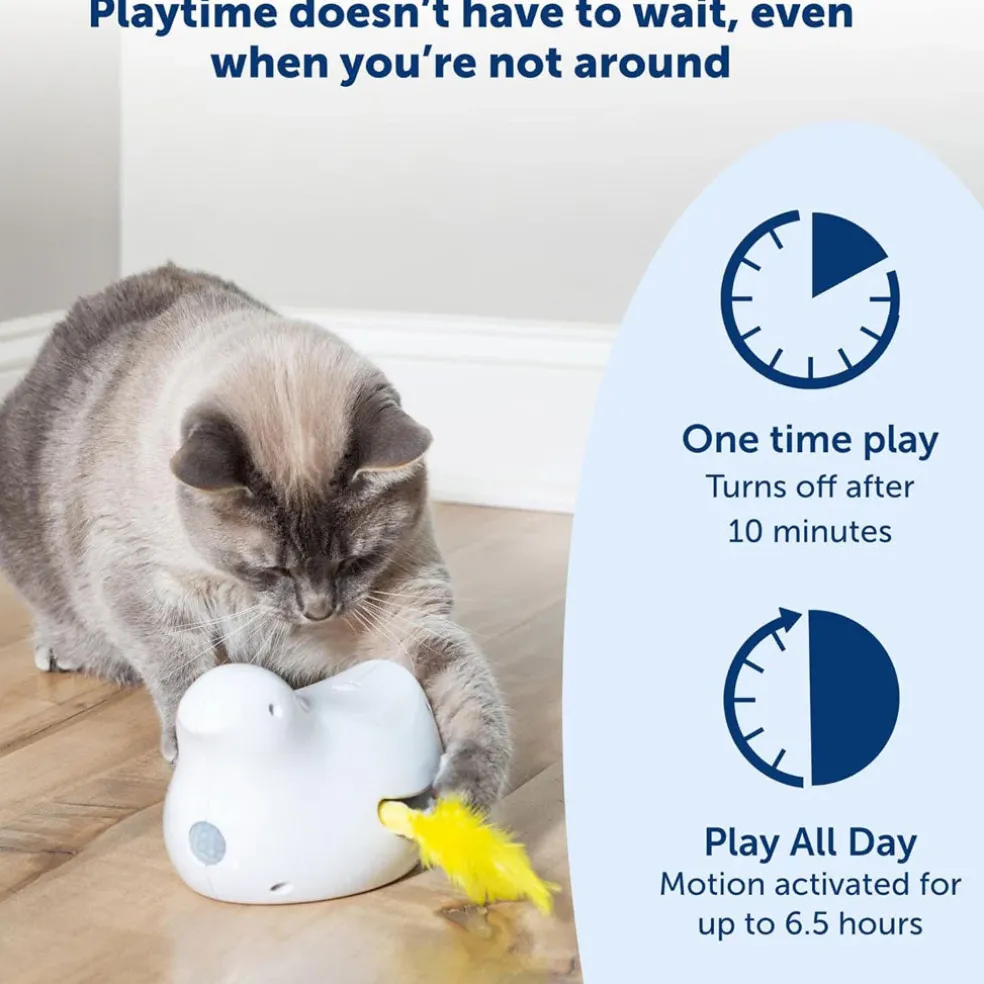 PetSafe Peek-A-Bird Automatic Cat Toy