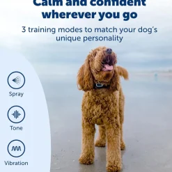 PetSafe Remote Spray Trainer with Citronella/Unscented Refill Cartridges