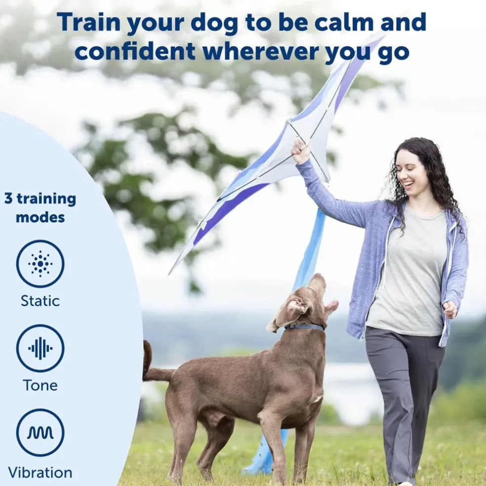 PetSafe Remote Trainer Dog Collar