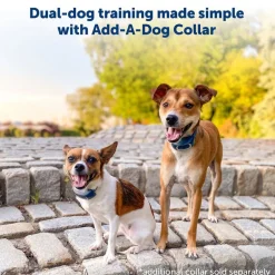 PetSafe Remote Trainer Dog Collar