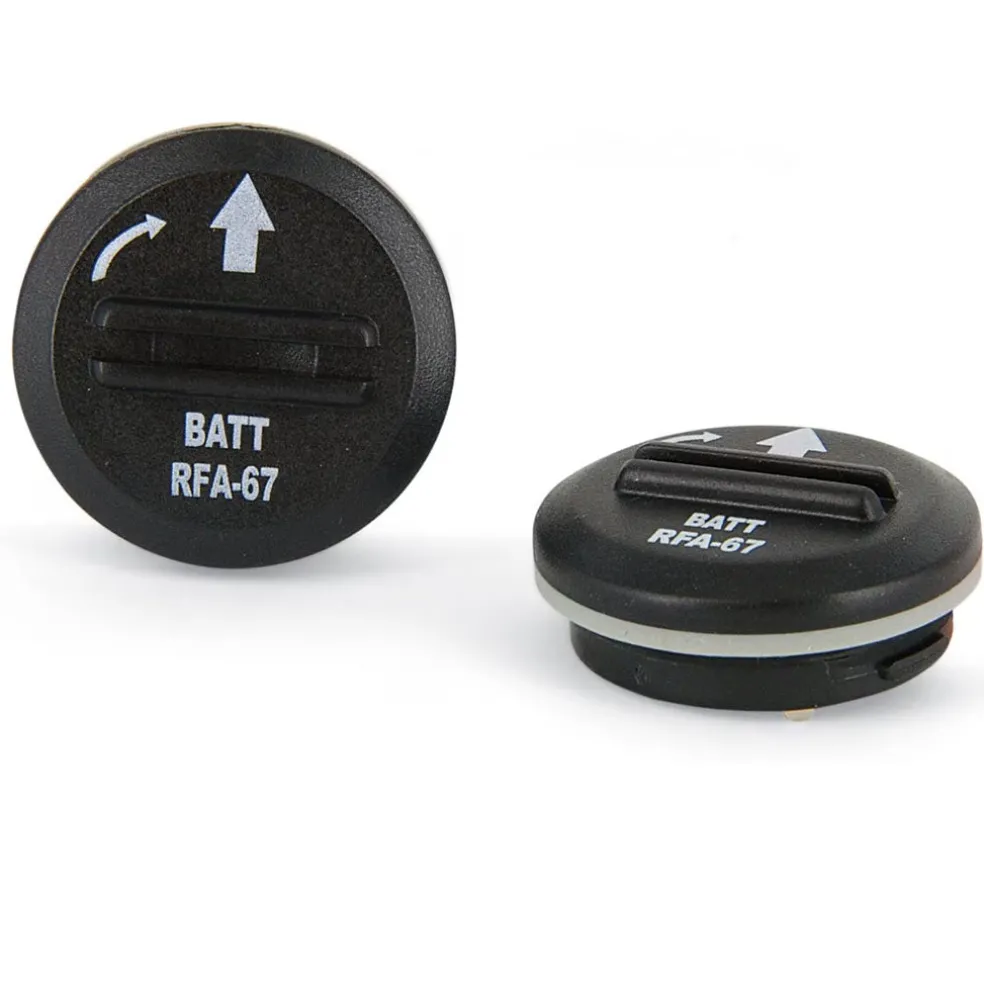 PetSafe RFA-67 6 Volt Replacement Batteries, 2-count