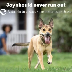 PetSafe RFA-67 6 Volt Replacement Batteries, 2-count