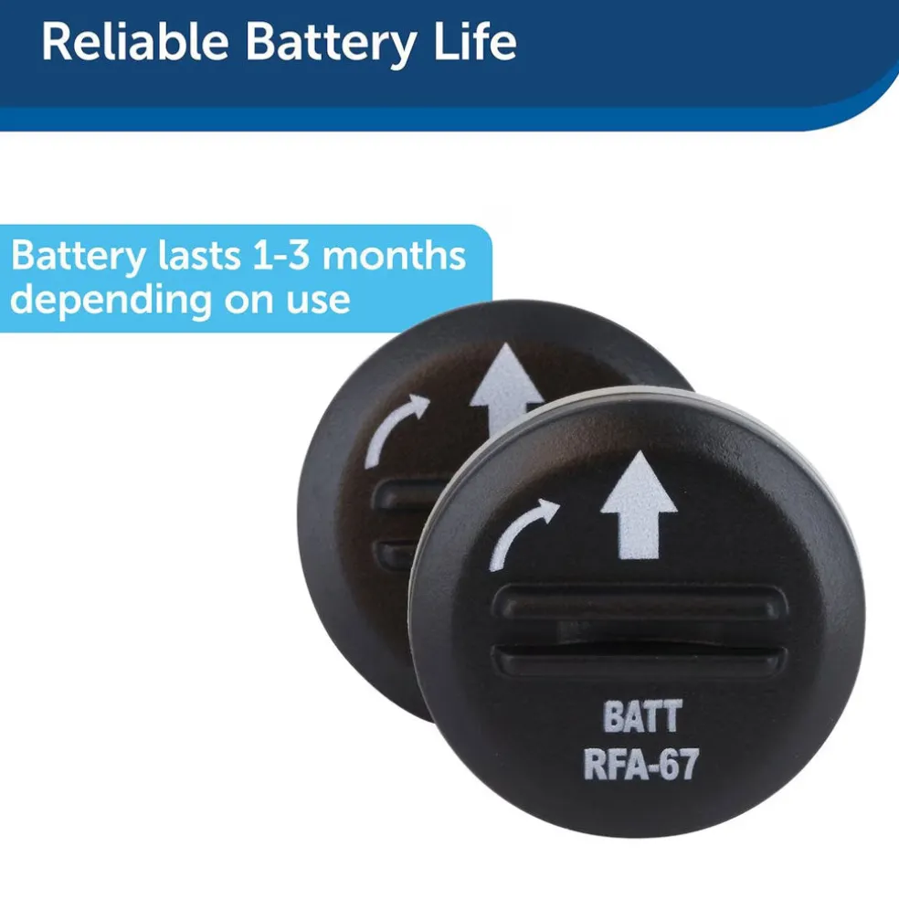 PetSafe RFA-67 6 Volt Replacement Batteries, 2-count