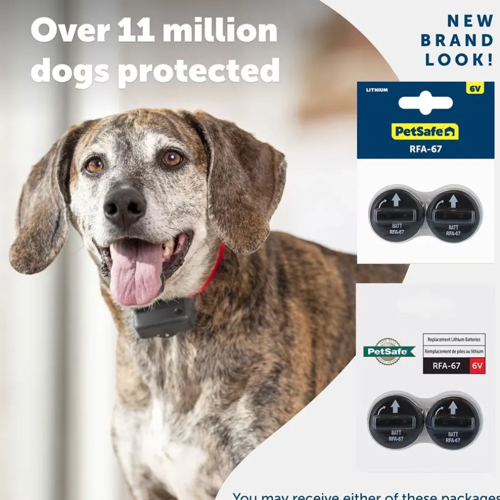 PetSafe RFA-67 6 Volt Replacement Batteries, 2-count