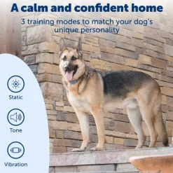 PetSafe Smart Dog Training Collar