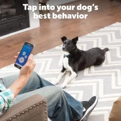 PetSafe Smart Dog Training Collar