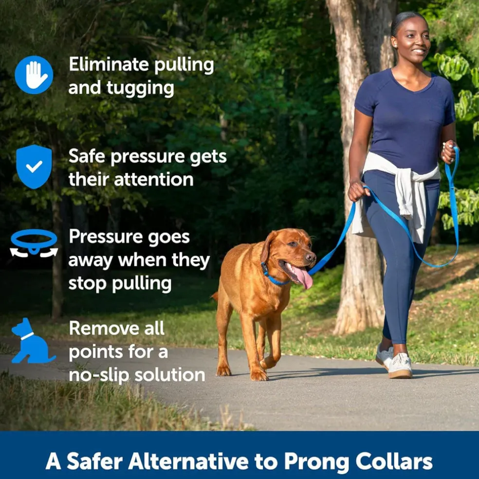 PetSafe Soft Point Dog Training Collar, Blue