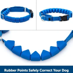PetSafe Soft Point Dog Training Collar, Blue