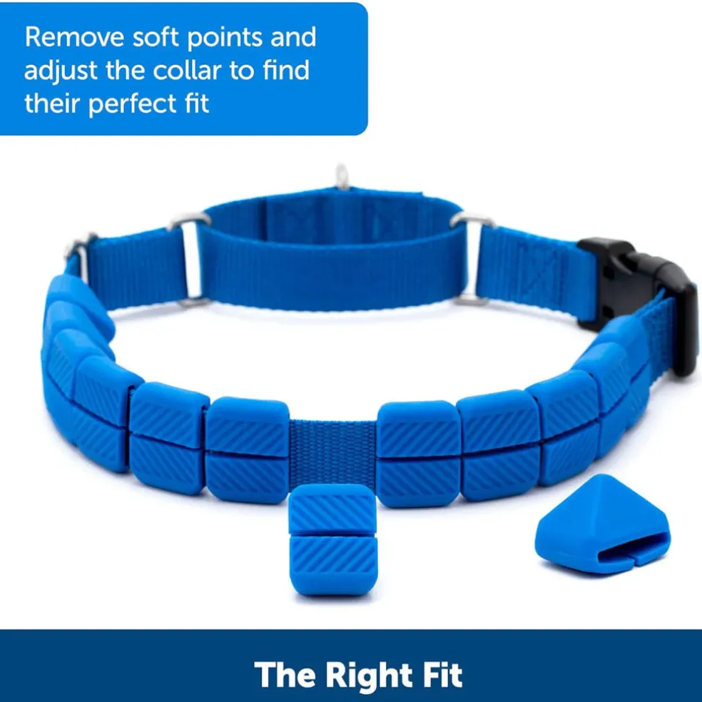 PetSafe Soft Point Dog Training Collar, Blue