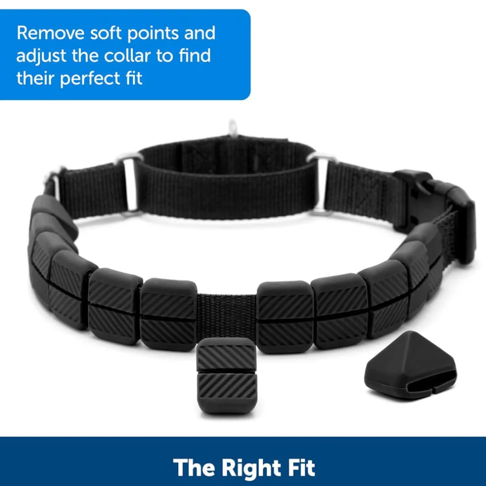 PetSafe Soft Point Dog Training Collar, Black
