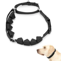 PetSafe Soft Point Dog Training Collar, Black