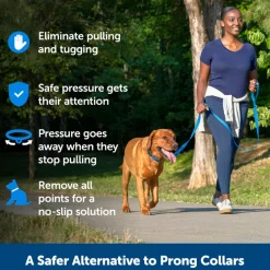 PetSafe Soft Point Training Collar Prong Replacement Pack, 4-pack