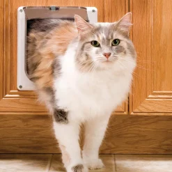 PetSafe 2-Way Cat Flap Locking Door, Small