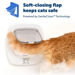 PetSafe 4-Way Locking Plastic Big Cat Door, White