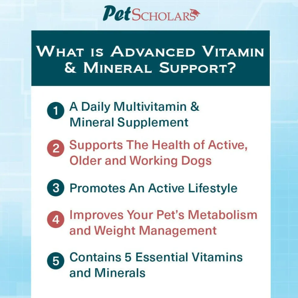 Pet Scholars Advanced Vitamin & Mineral Support